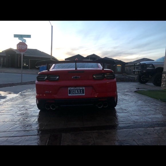 Meet your Posher, Benjamin - Picture 1 of 1